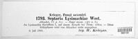 Septoria lysimachiae image